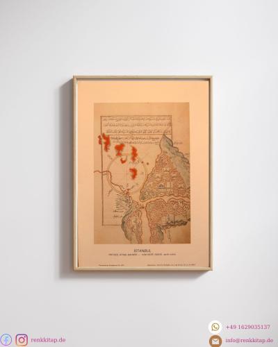 Piri Reis'in İstanbul Haritası